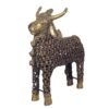 JAALI NANDI