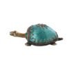Farbe Schildkröte