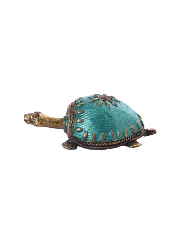 Farbe Schildkröte