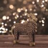 JAALI NANDI