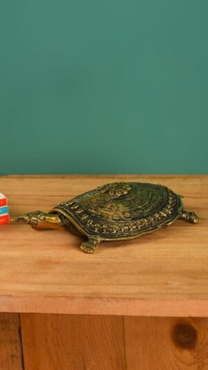 Schildkröte für Wohndekoration