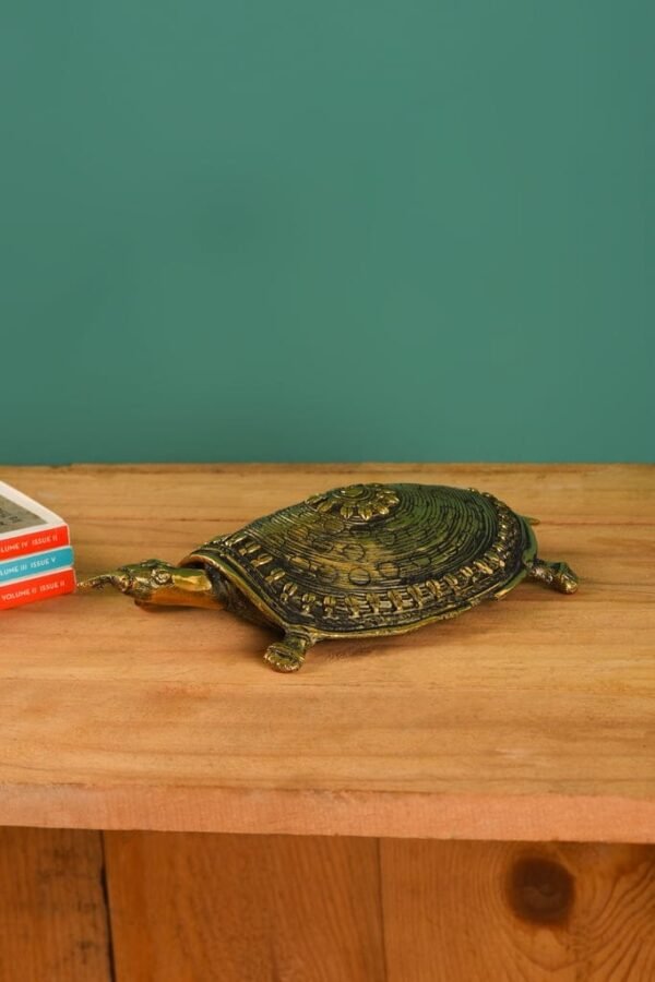 Schildkröte für Wohndekoration