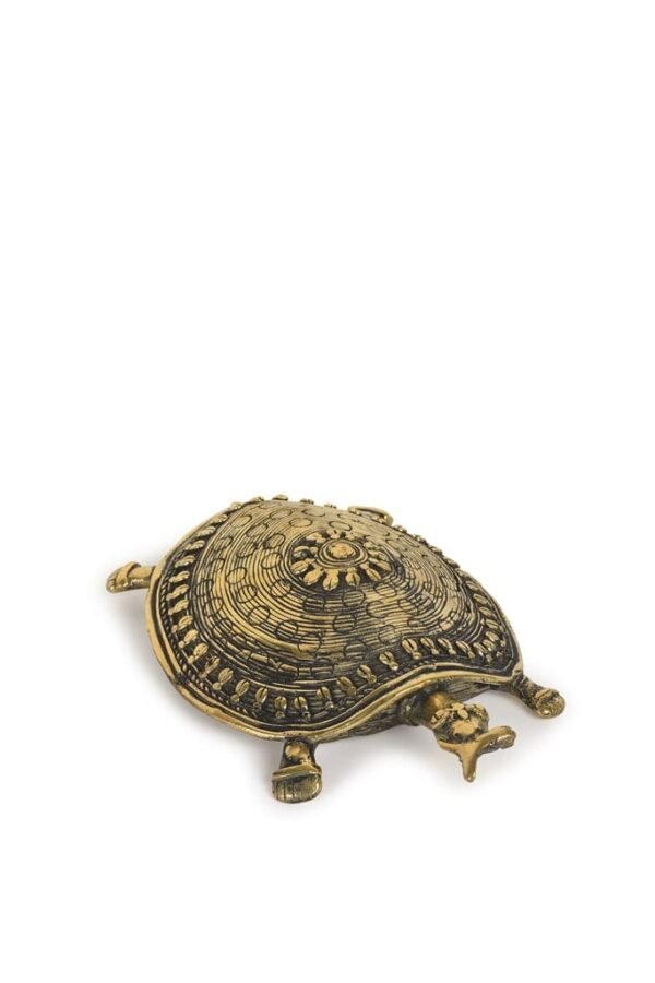 Schildkröte für Wohndekoration