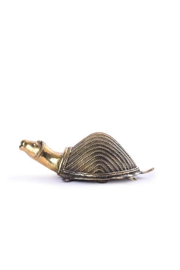 Schildkröte