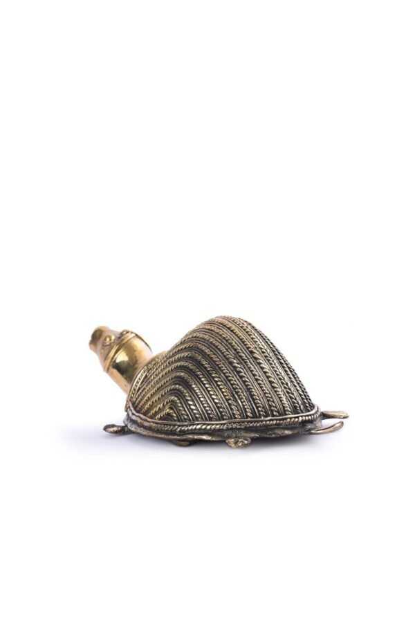 Schildkröte