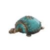 Farbe Schildkröte