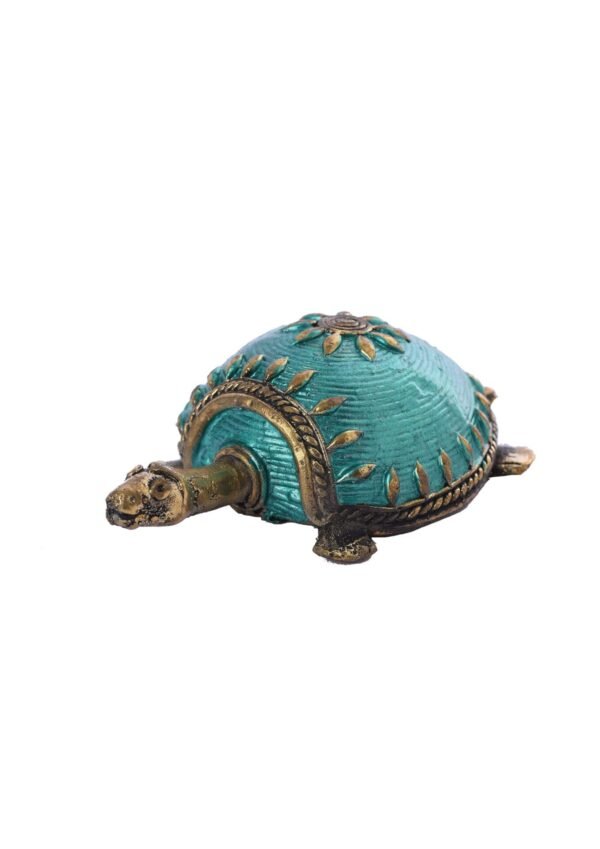 Farbe Schildkröte