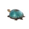 Farbe Schildkröte