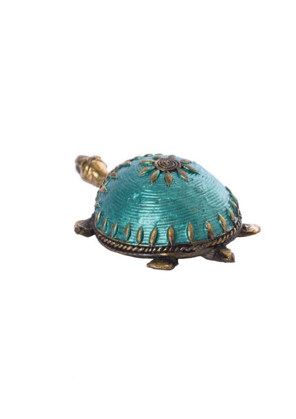 Farbe Schildkröte