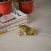 Frosch