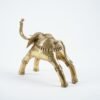 Elefant