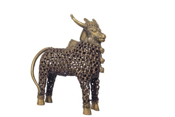 JAALI NANDI