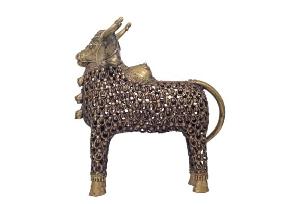 JAALI NANDI
