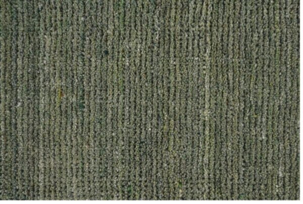 Handgewebte Wollteppiche und Vorleger von Kesar Moss
