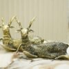 Dhokra Art Sitting Reindeer