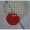 Hand Tufted Woolen Carpets
