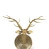 Deer Head Antique for Home Decor